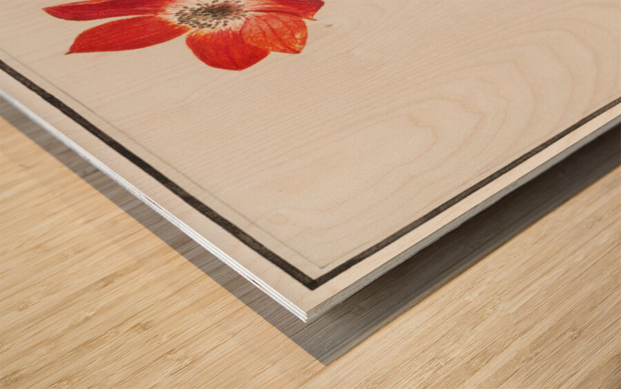 Anemone in vintage style Wood print