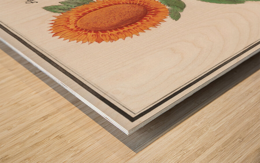 Sunflower in vintage style Wood print