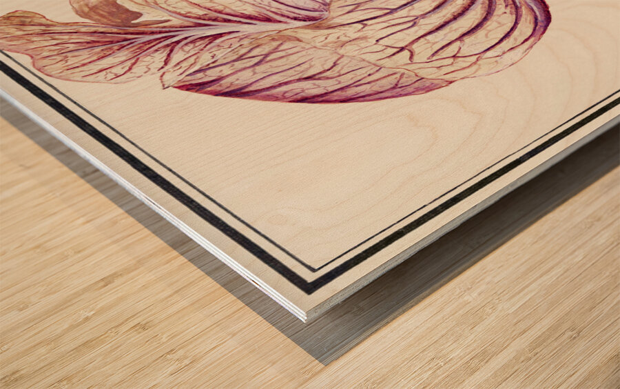 White cabbage in vintage style Wood print