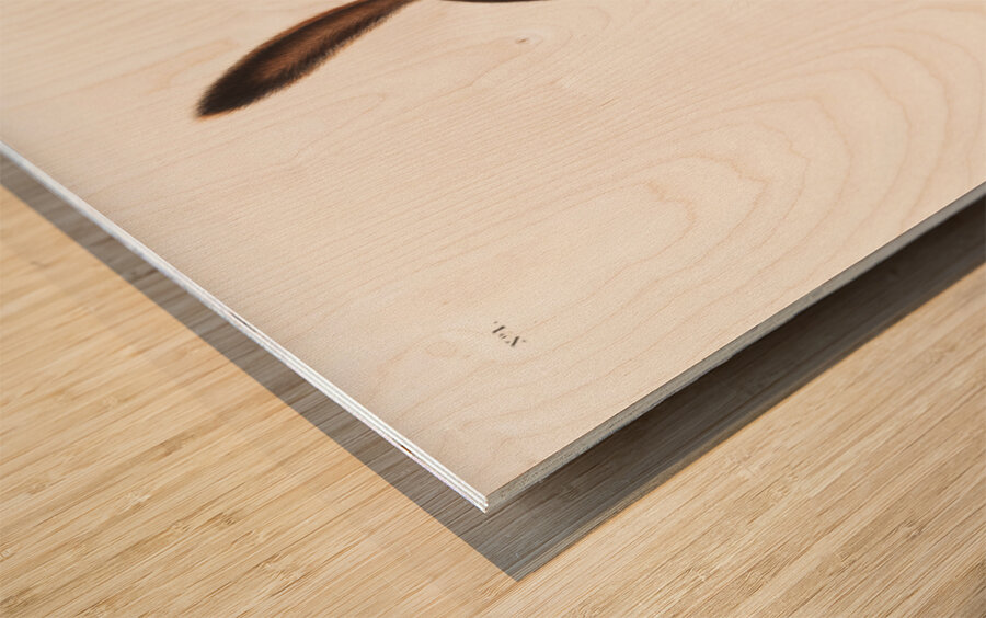 Ground Squirrel Tamias Townsendii  Wood print