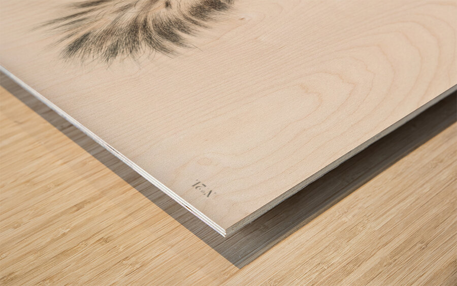 Large-tailed Skunk Mephitis macroura  Wood print