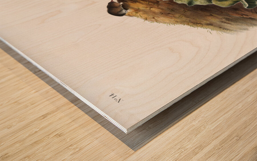 Least Shrew Sorex parvus  Wood print