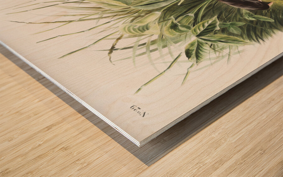 Shrew Mole Scalops Townsendii  Wood print