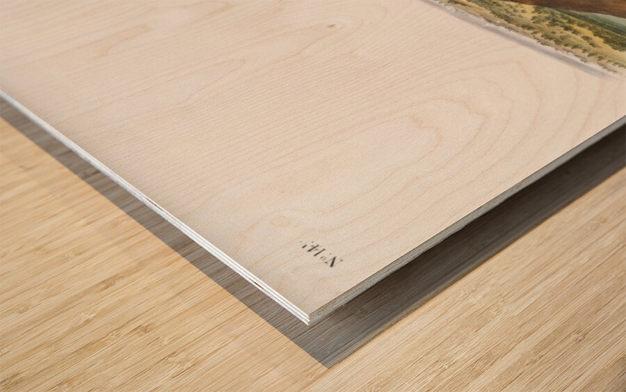 Star-nose Mole Condylura cristata  Wood print