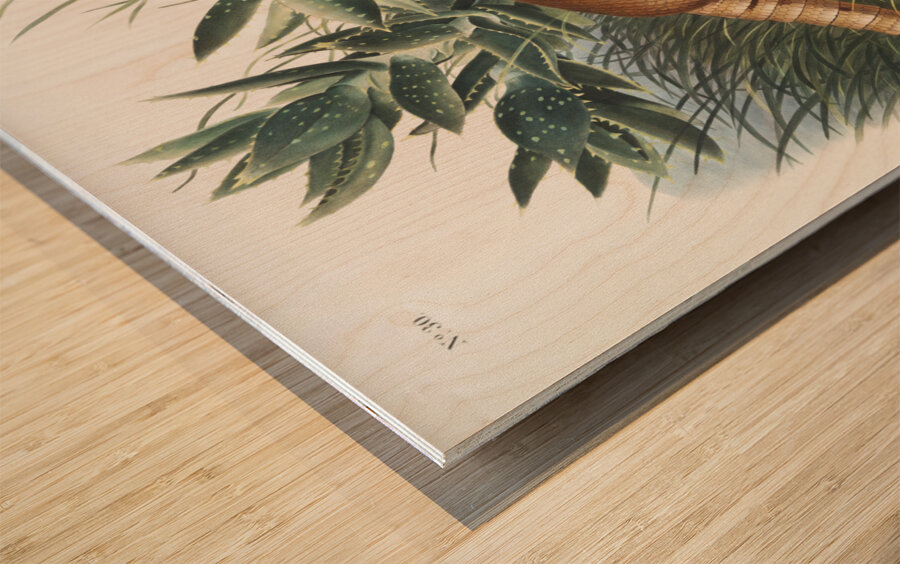 Nine-banded Armadillo Dasypus Peba  Wood print