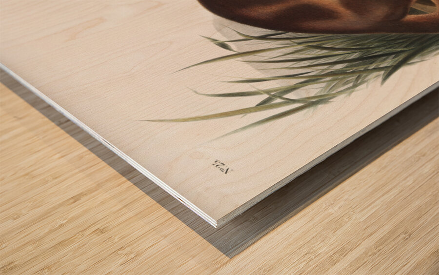 Canada Otter Lutra Canadensis  Wood print