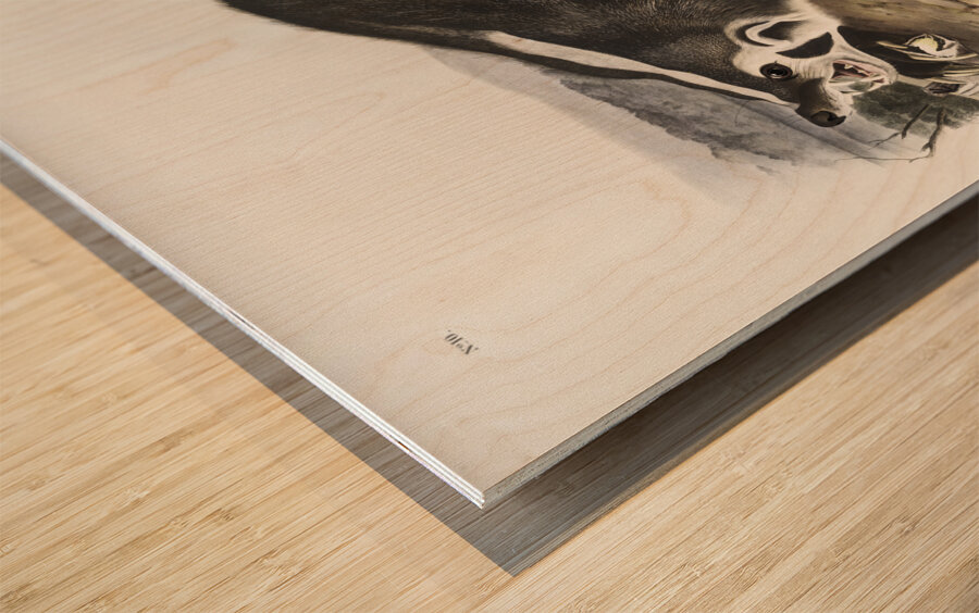 Leopard Spermophile Spermophilus tridecemlineatus  Wood print