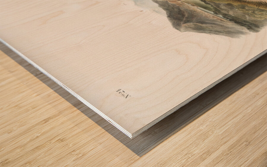 Tawny Lemming Georychus helvolus  Wood print