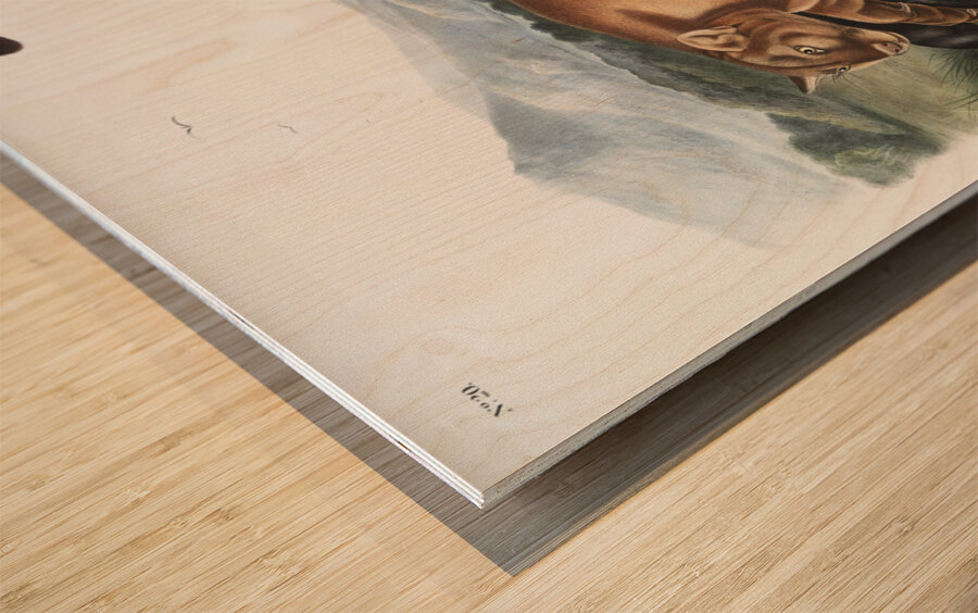 Cougar Felis concolor  Wood print