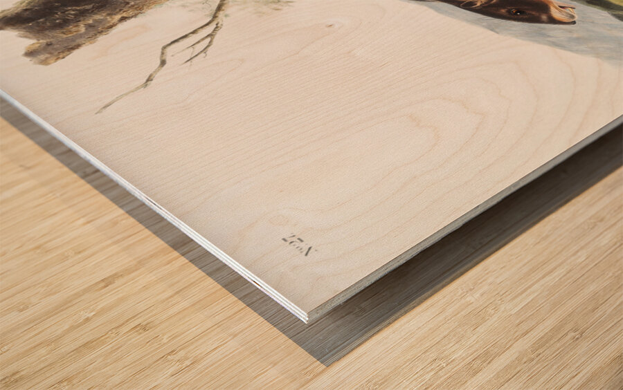 Cat Squirrel Sciurus cinereus  Wood print