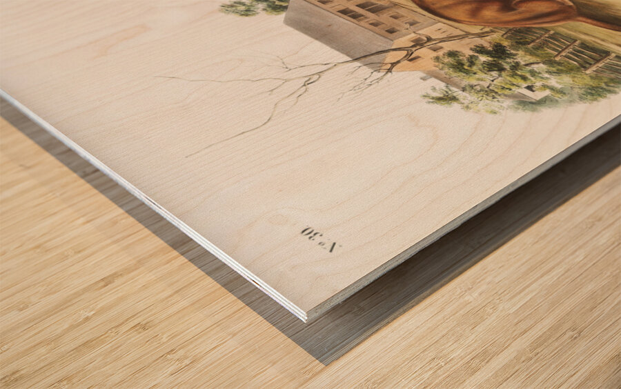 Tawny Weasel Putorius fuscus  Impression sur bois