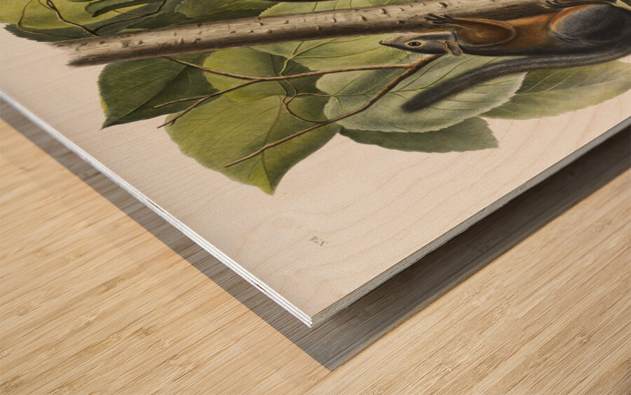 Red Texan Wolf Canis lupus  Wood print