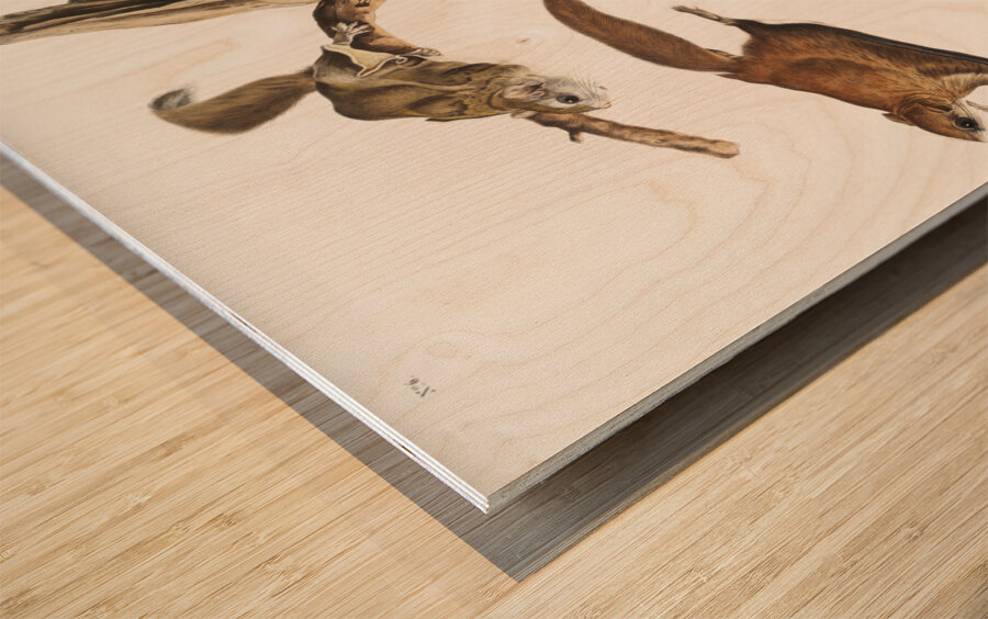 Flying Squirrel Pteromys volucella  Wood print