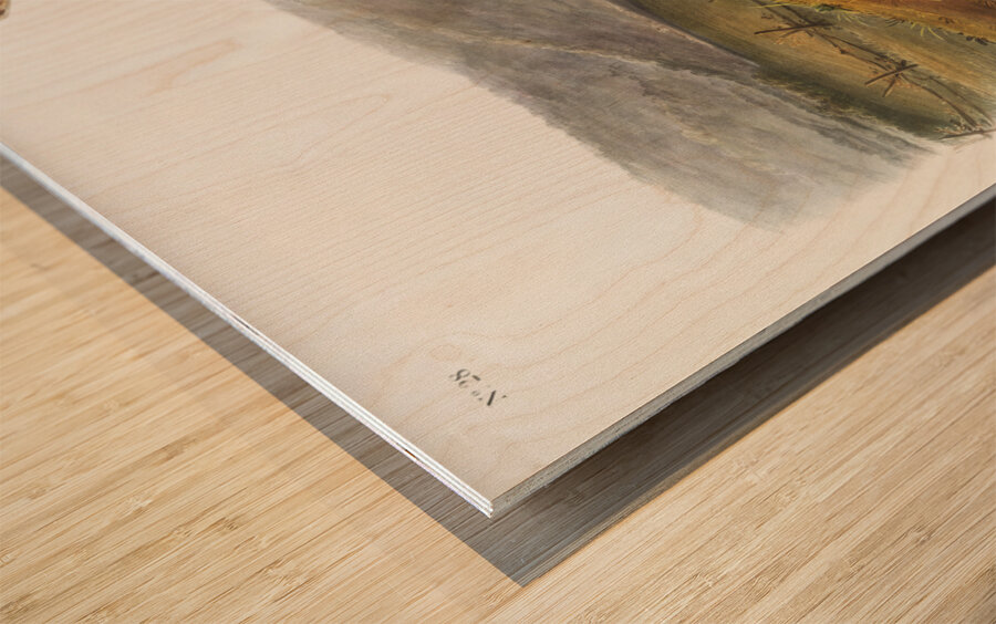 Little Nimble Weasel Putorius agilis  Wood print