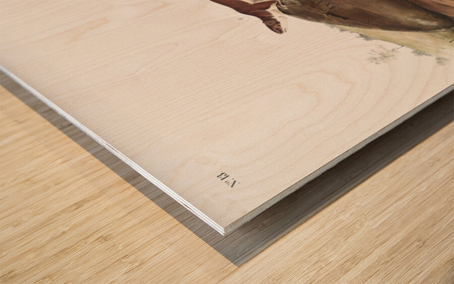 Little American Brown Weasel Mustela fusca  Wood print