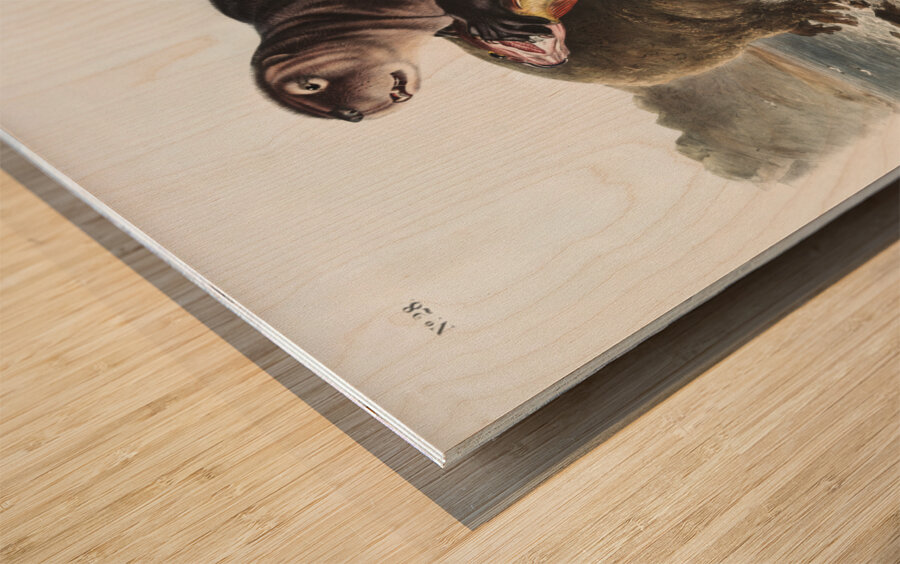 Sea Otter Enhydra marina  Wood print