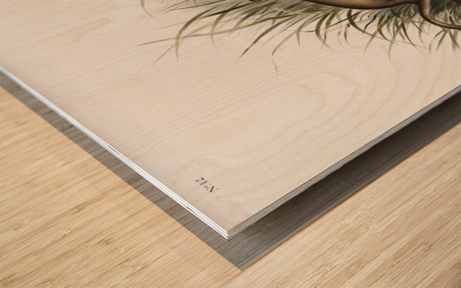 White Weasel Stoat Puttorius ermninea  Wood print