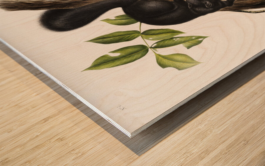 Meadow Mouse Arvicola richardsonii  Wood print