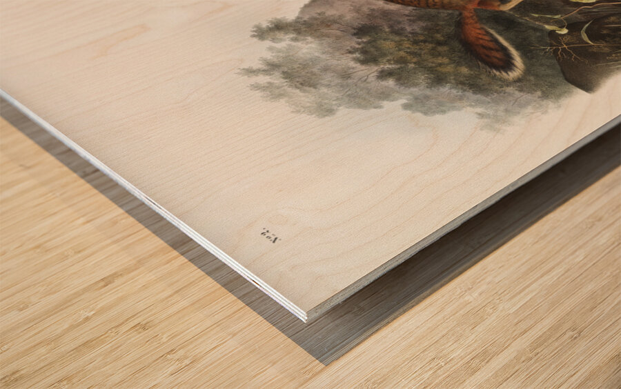 Marmot Squirrel Spermophilus Parryi  Wood print