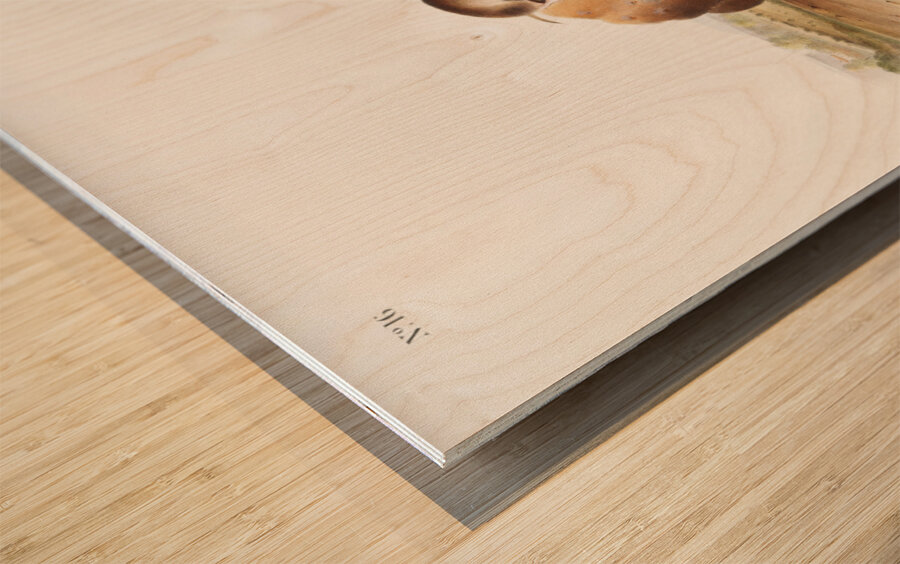 Lecontes Pine Mouse Arvocola pinetorum  Wood print