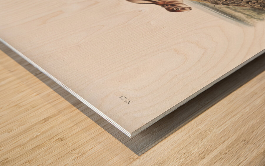 Marmot Squirrel Spermophilus lateralis  Wood print