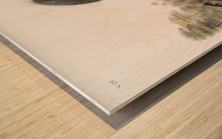 Dusky Sqiurrel Sciurus nigrenscens  Wood print