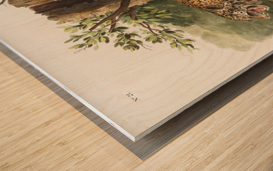 Jaguar Felis onca  Wood print