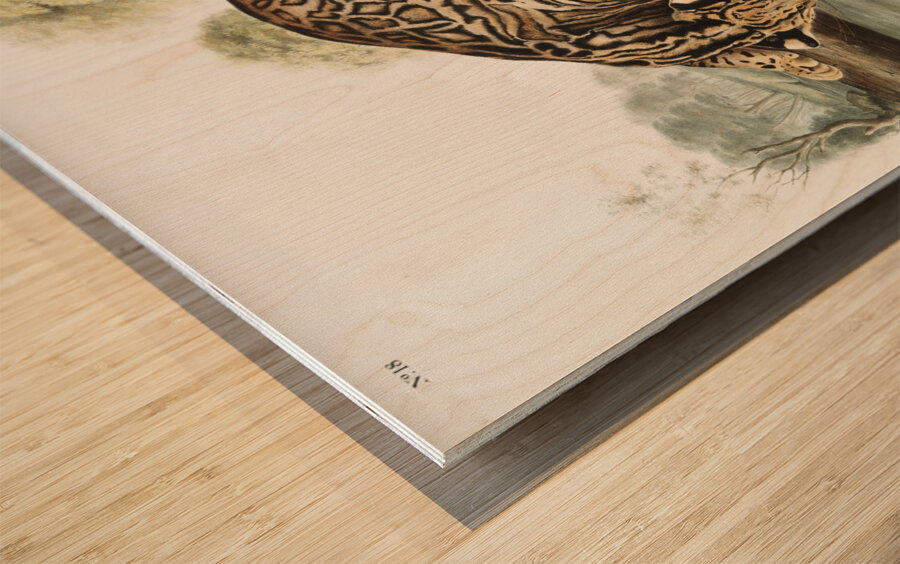 Ocelot or Leopard-Cat Felis pardalis  Wood print