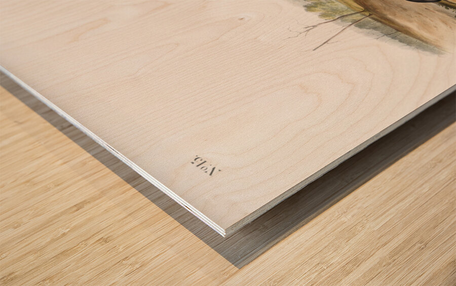 Carolina Shrew Sorex Carolinensis  Wood print