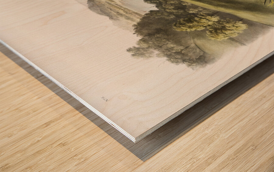 White-footed Mouse Mus leucopus  Wood print