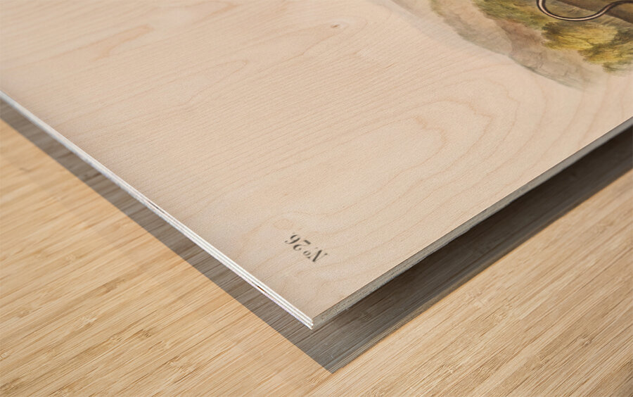 Pouched Jerboa Mouse Dipodomys Phillipsii  Wood print