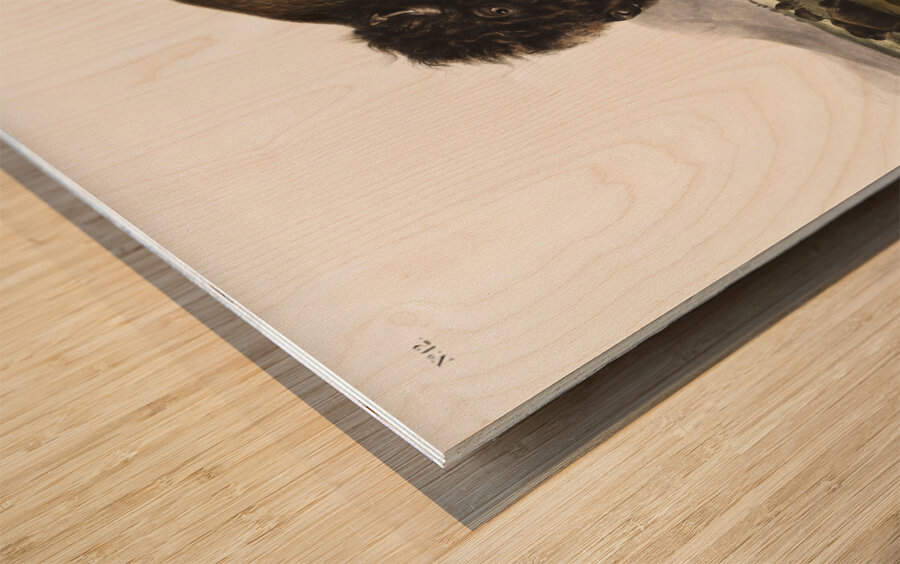 Marsh Hare Lepus palustris  Wood print