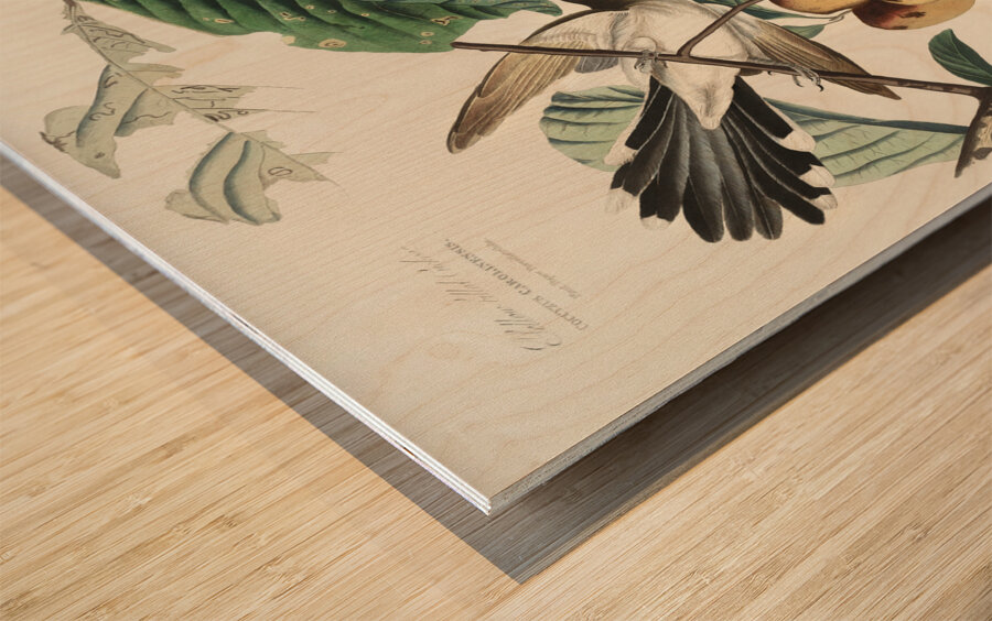 Yellow-billed Cuckoo Wood print