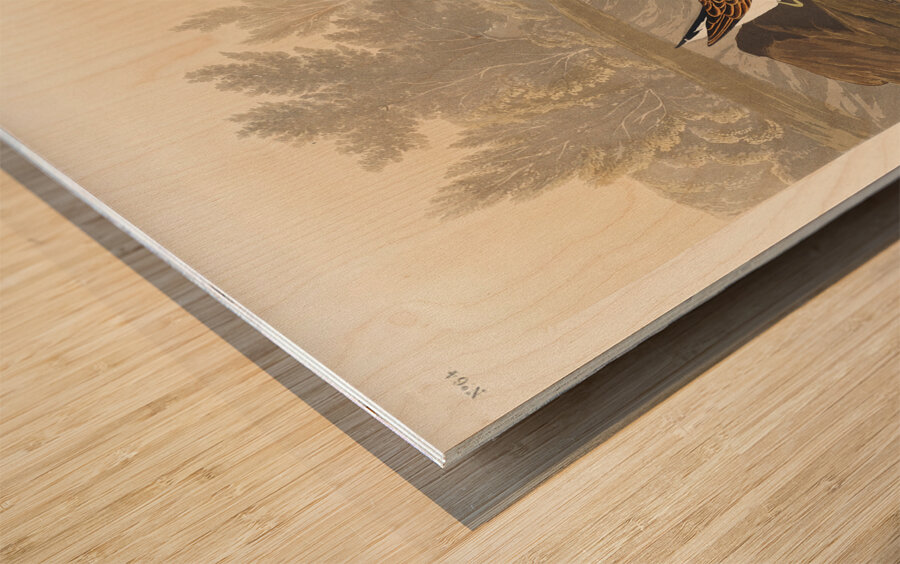 Little Sandpiper Wood print