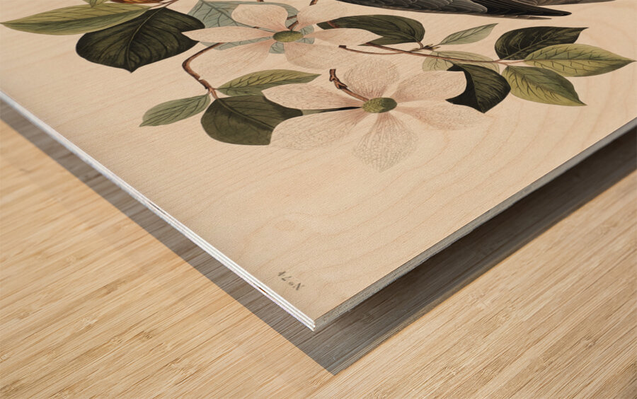 Band-tailed Pigeon Wood print