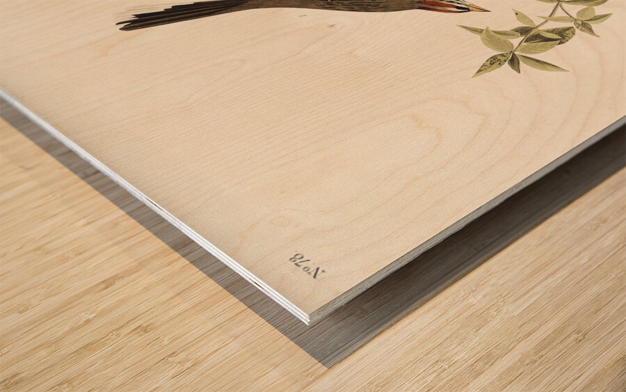 Lark Finch Prairie Finch and Brown Song Sparrow Wood print