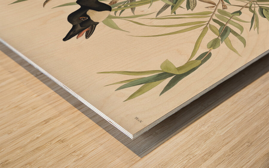Canada Goose Wood print