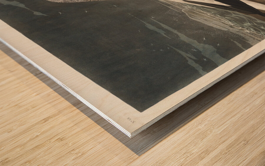 Gannet Impression sur bois