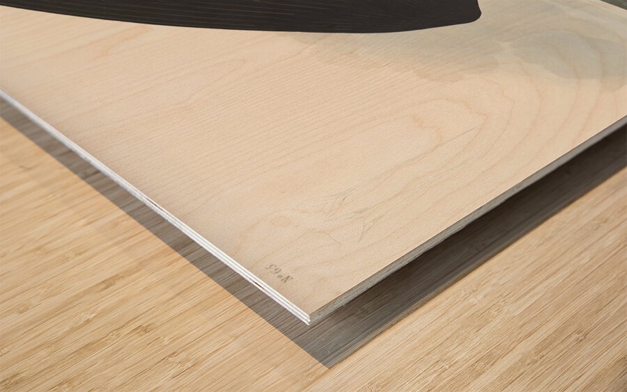 Black Skimmer Wood print