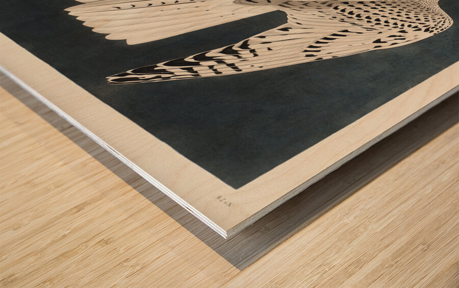 Iceland or Jer Falcon Wood print