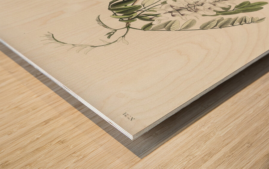 Chipping Sparrow Wood print