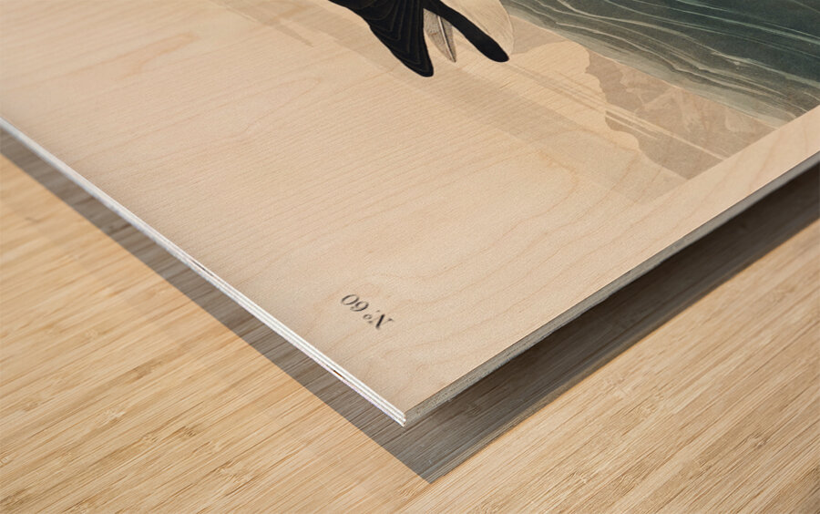 Dusky Petrel Wood print