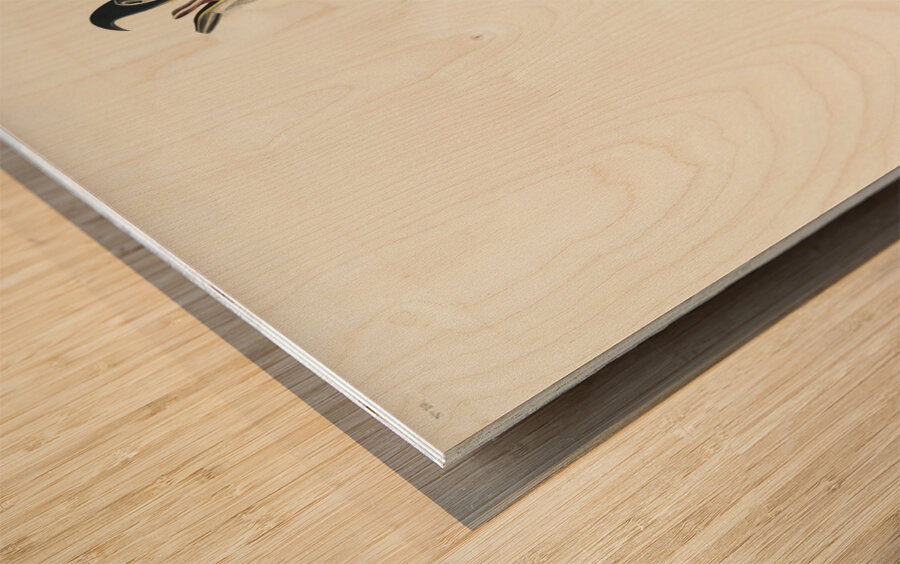 White-headed Eagle Wood print