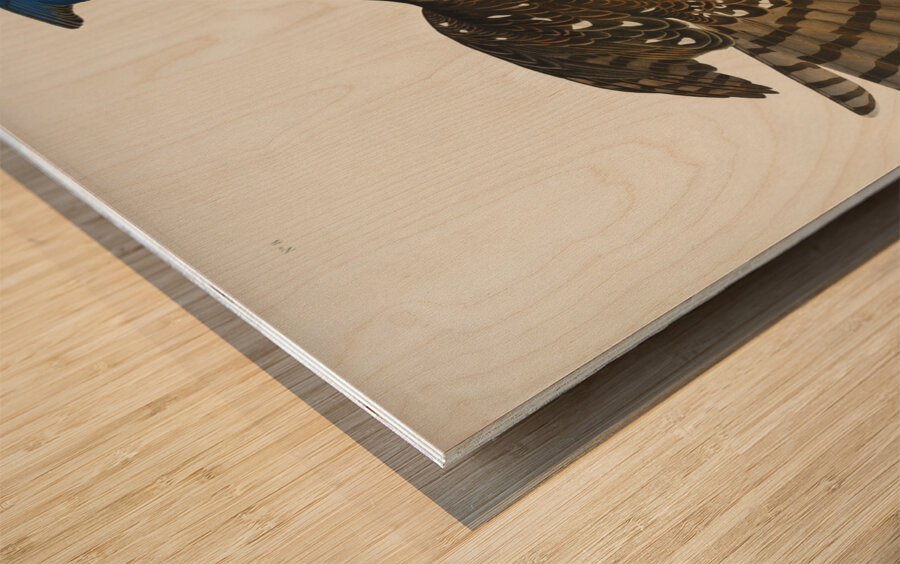 Stanley Hawk Wood print