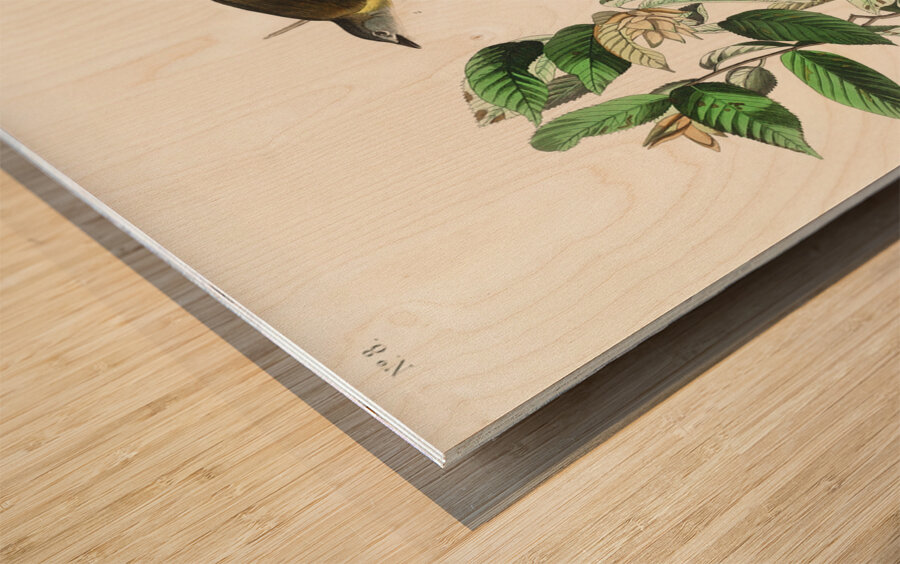 American Redstart Wood print