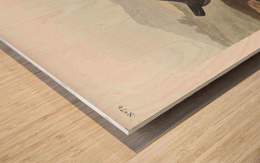 American Redstart Wood print