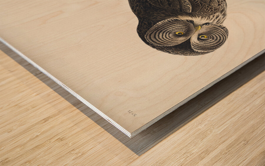 Great Cinereous Owl Wood print