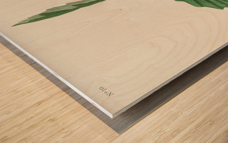 Black & Yellow Warbler Wood print