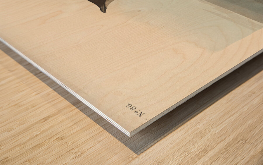 Slender-billed Guillemot Wood print