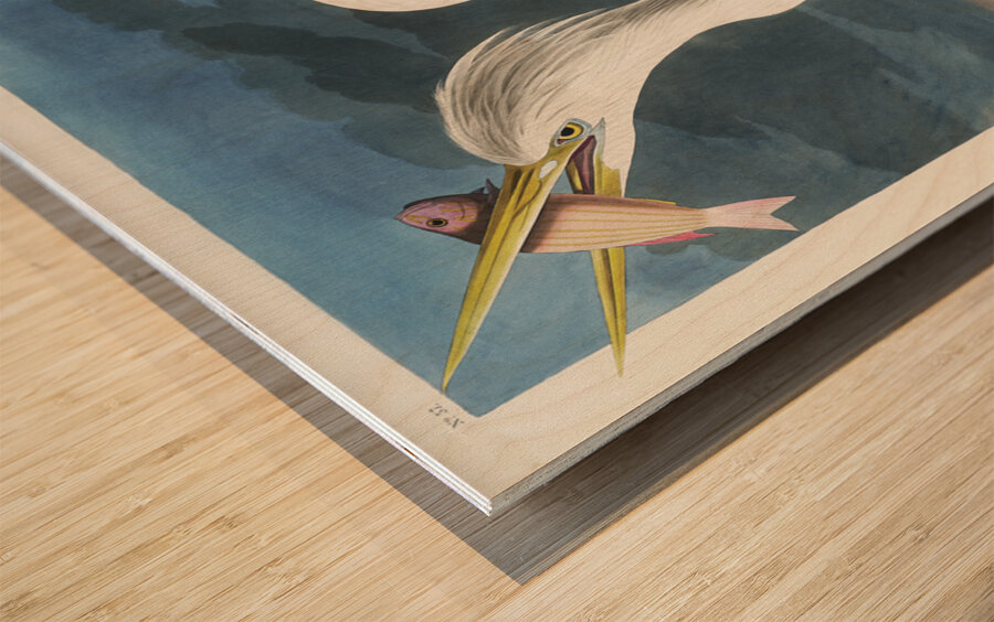 Great White Heron Wood print